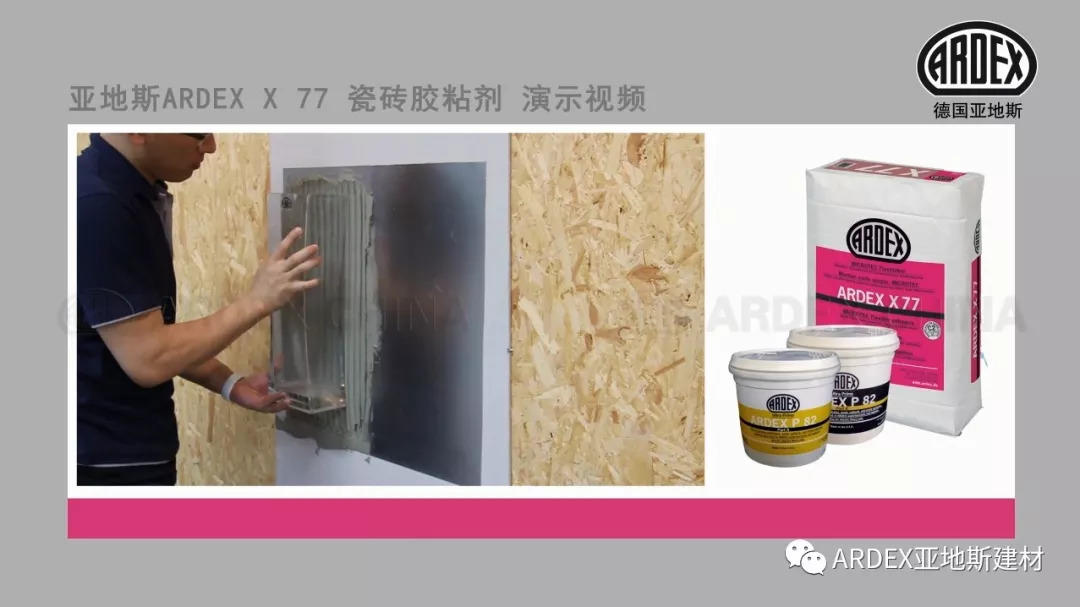 ARDEX X 77:抗過這一波,世間皆誠服 ARDEX X 77:抗過這一波,世間皆誠服
